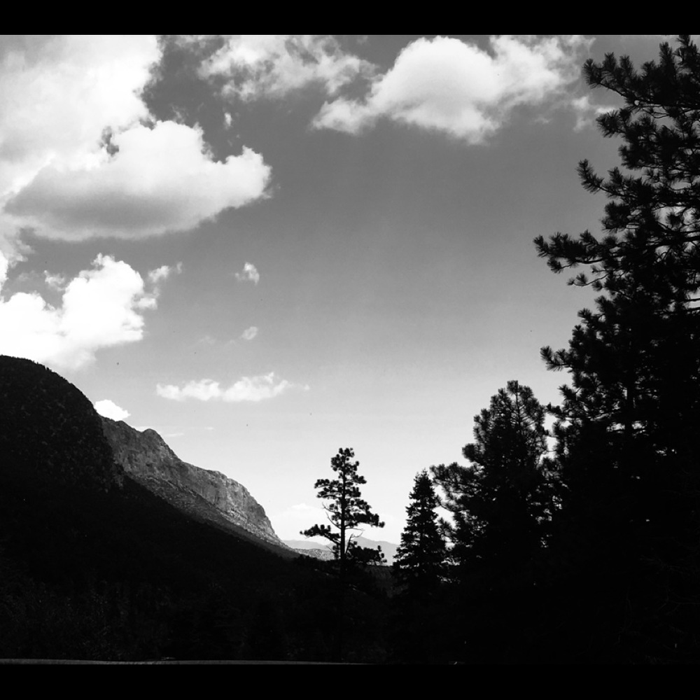 Meet your Posher, Connie